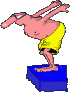 Schwimmer